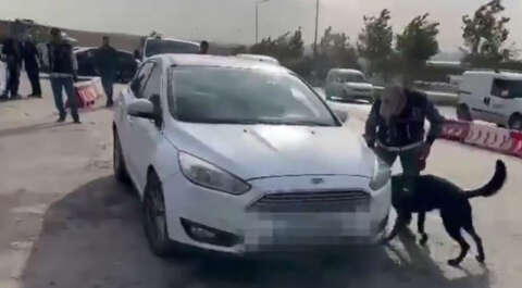 Gaziantep'te otomobilde 78 kilo skunk ele geçirildi