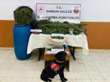 Samsun'da 22 kilo 755 gram kubar esrar ele geçirildi