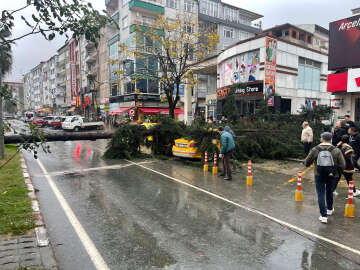 Rize'de fırtına; sac uçtu, ağaç taksinin üzerine devrildi