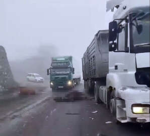 Diyarbakır'da TIR'ın çarptığı sürüdeki 7 inek öldü
