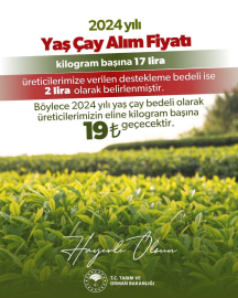 Tarım ve Orman Bakanlığı: 2024 yılı yaş çay alım fiyatı kilogram başına 17 lira olarak belirlendi