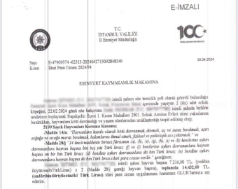 İstanbul - Sitedeki köpek tartışmasında kaymakamlığın kestiği ceza iptal edildi
