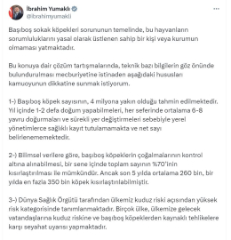 Bakan Yumaklı: Başıboş köpeklerin çoğalmalarının kontrolü, kısırlaştırma ile mümkündür