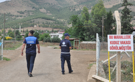 GAZİANTEP 1 kişiyi ısıran köpek kuduz çıktı, mahalle 6 ay karantinaya alındı (VİDEO EKLENDİ)