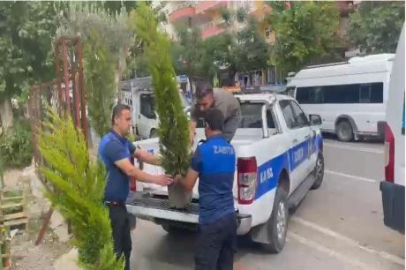 İş yeri önündeki dut ağacını kesen esnafa 10 fidan hibe etme cezası verildi