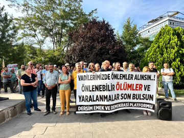 Tunceli'de STK'lardan kaya parçası düşmesine karşı 'karayollarında önlem alınsın' talebi