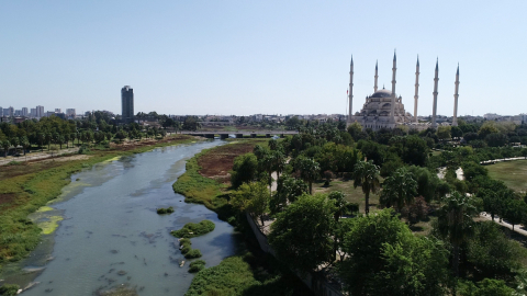 ADANA Seyhan Nehri'ni yeşile bürüyen yosunların boyu, 2 metreyi geçti (VİDEO EKLENDİ)