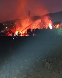 Antakya'da sazlıkta çıkan yangın söndürüldü