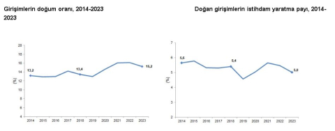 TÜİK: Geçen yıl doğan girişimlerin istihdam payı yüzde 5 oldu