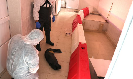 Eskişehir - Ölmek üzereyken bulunan yavru Akdeniz foku, Eskişehir’de hayata tutundu /Video eklendi