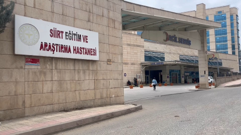 Siirt- Atın teptiği Zerda, ağır yaralandı /Videro eklendi