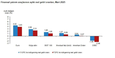 TÜİK: Aylık en yüksek reel getiri avroda oldu