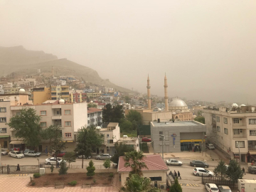 Mardin'de toz taşınımı, araçlar tozla kaplandı (2)