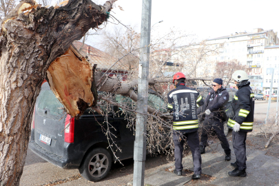 Erzurum'da fırtına; çatılar ve tabelalar uçtu, ağaçlar devrildi