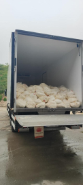 Sakarya'da son tüketim tarihi geçmiş 23 ton lor peyniri ele geçirildi