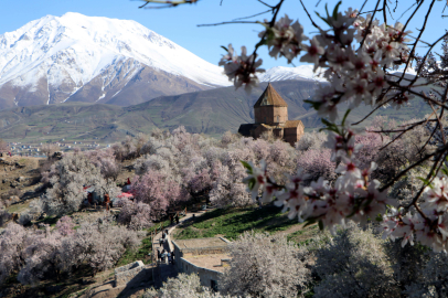Akdamar Adası'nda '3'üncü Badem Çiçeği Festivali' başladı / Ek fotoğraflar