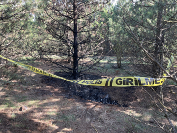 Deniz, ormanda yakılarak öldürüldü