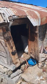 Rize’de kış uykusundan uyanan ayılar 30 eve zarar verdi