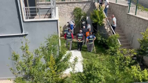 Doktorun sahiplenip öldürdüğü iddia edilen köpek sayısı 26'ya ulaştı (2)