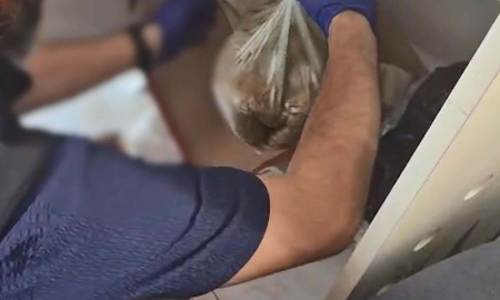 Ayakkabı kutusuna gizlenmiş 1 kilo uyuşturucu ele geçirildi; 3 tutuklama