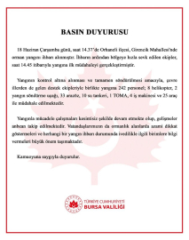 Bursa’da orman yangını (6)