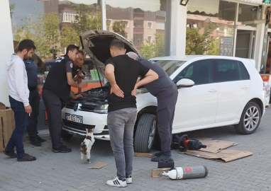 Kedi, otomobilin motor kısmında mahsur kalan 4 yavrusunun kurtarılmasını bekledi