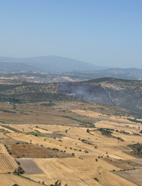Balıkesir'de orman yangını (3)