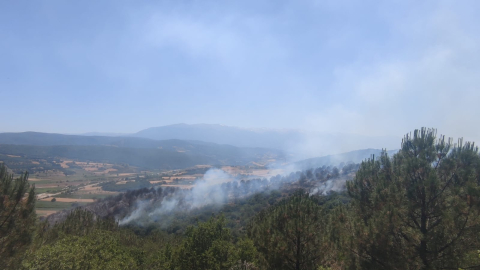 Bursa’da orman yangını (4)