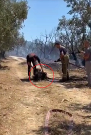 Yangında mahsur kalan 2 köpeğe ilk müdahaleyi su sıkarak yaptılar