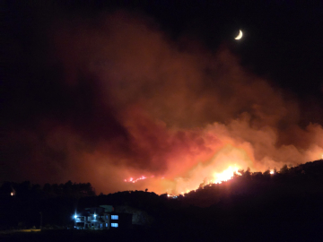 Hatay'da orman yangını / Ek fotoğraflar