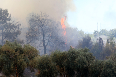 Antalya Aksu'da orman yangını / Ek fotoğraflar
