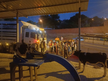 Manisa'da çöplük yangını ormana sıçradı (3)