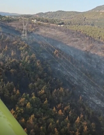 Manisa'daki orman yangını 2'nci gününde