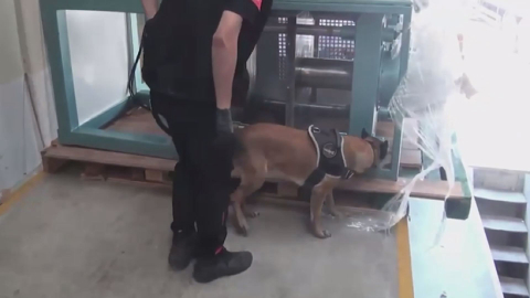 İstanbul- Çatalca'da uyuşturucu operasyonu; 60 kilo kokain ele geçirildi / Haber eklendi