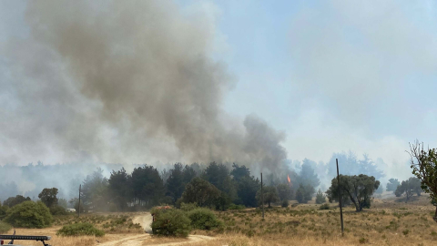 İzmir'de orman yangını (2)