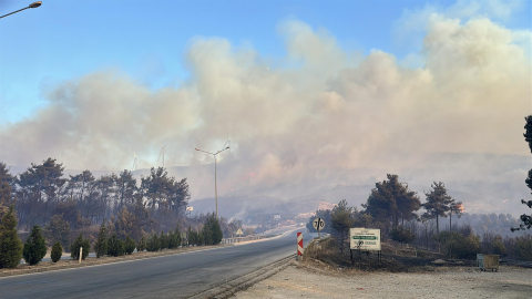 Çanakkale'de orman yangını (9)