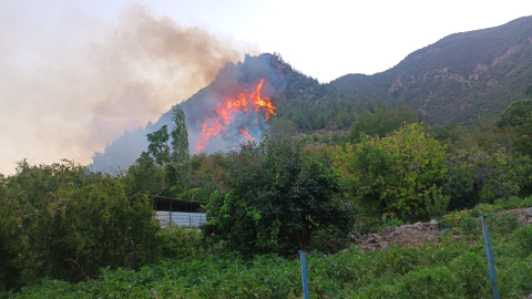 Hatay'daki orman yangını ikinci gününde; havadan müdahale başladı / Ek fotoğraflar