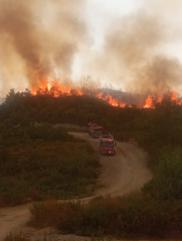 Hatay'da orman yangını ikinci gününde; havadan müdahale başladı (4)