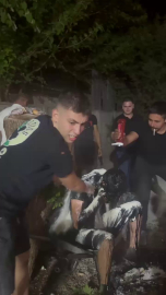 Damada motor yağlı, yumurtalı, ketçaplı şaka kamerada