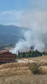 Bursa'da anız yangını; 30 dönümlük alan zarar gördü