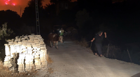 Antalya'da orman yangını (2)