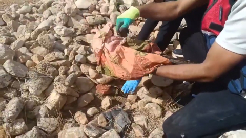 Tarlada taş ve tezek yığını arasına gizlenen silah ve uyuşturucu ele geçirildi: 12 gözaltı