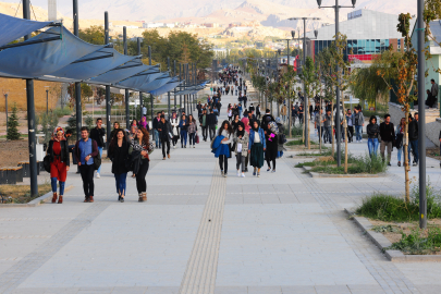 Van YYÜ'den 'Rojin Kabaiş' açıklaması