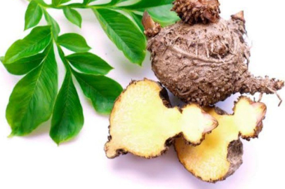 Zayıflamanın En Güvenli Yolu: Konjak Sakızı