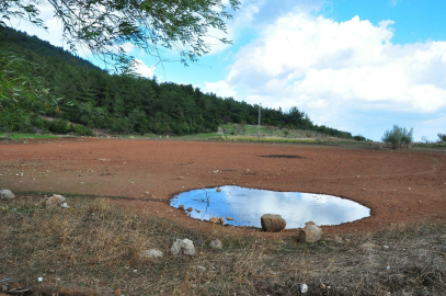 Geçen yıl tankerlerle taşınan su ile kurtarılan Sülüklü Göl, bu yıl tamamen kurudu