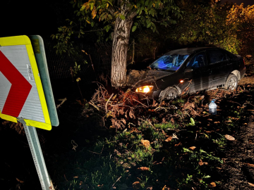 Bursa'da otomobil ağaca çarptı: 3 yaralı