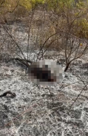 Temizlik için ateş yaktığı bahçede alevlerin arasında kalıp öldü