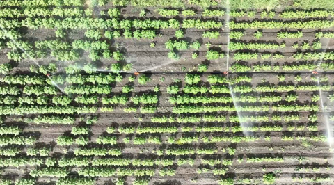 Tarımda su kıtlığının önüne geçebilmenin en iyi yolu; modern sulama sistemleri