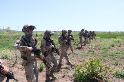 Şanlıurfa’da uyuşturucu ve kaçakçılık operasyonları; 9 gözaltı