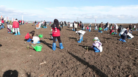İstanbul - Milli Ağaçlandırma Günü'nde Silivri'de 15 bin fidan dikildi
